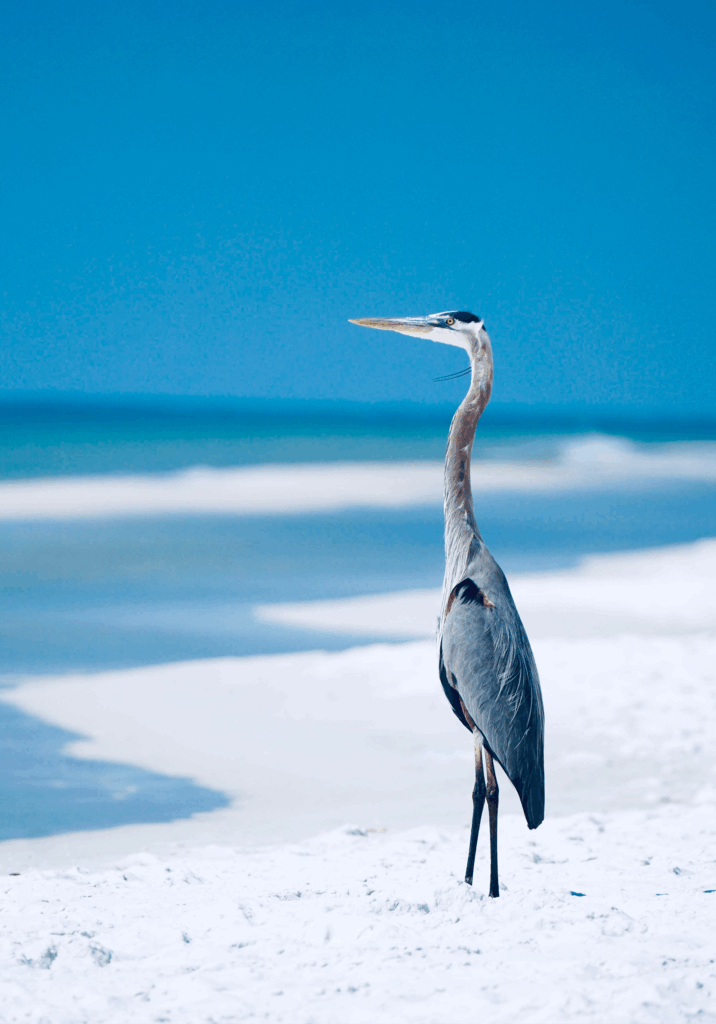 Lusko Law about page image Pensacola personal injury legal team